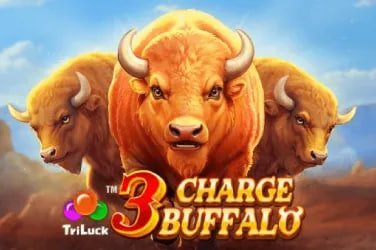 Live casino layar138 dengan dealer profesional dan suasana kasino asli